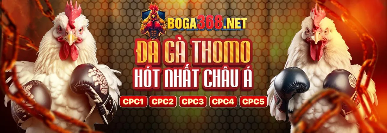 Đá gà trực tuyến f1686s nổ hũ