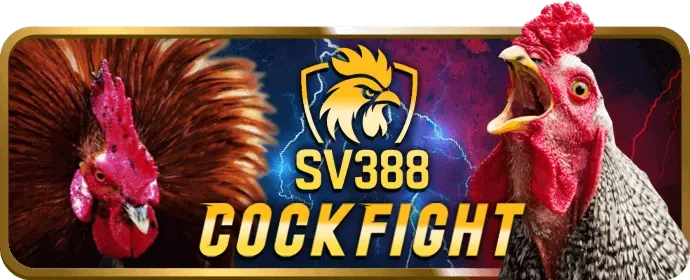 Trò chơi slot video hiện đại
